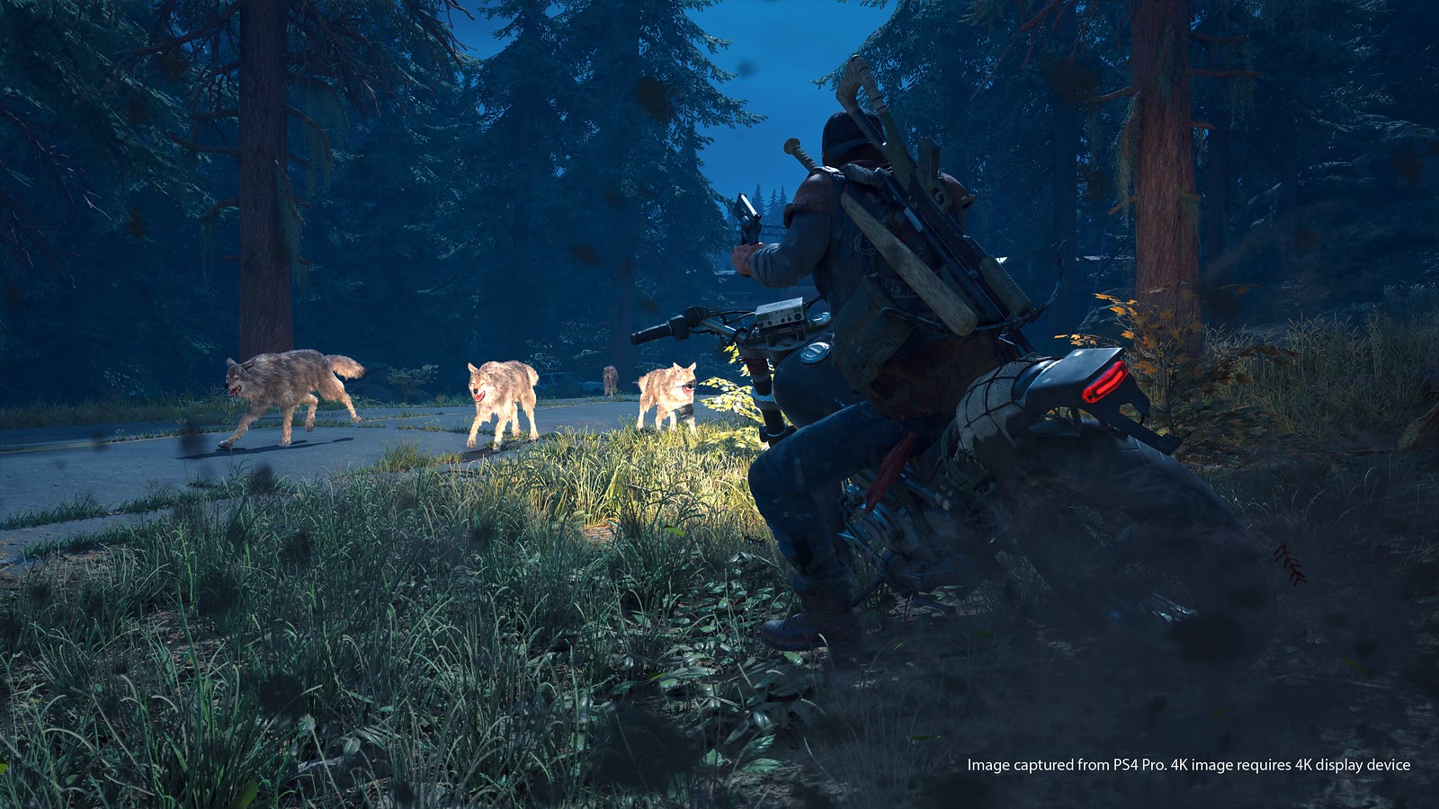 Days Gone for PS4