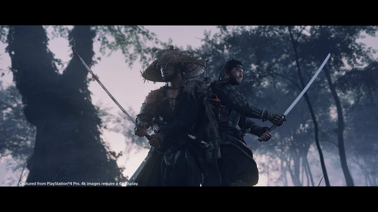 Ghost of Tsushima - Photo Mode